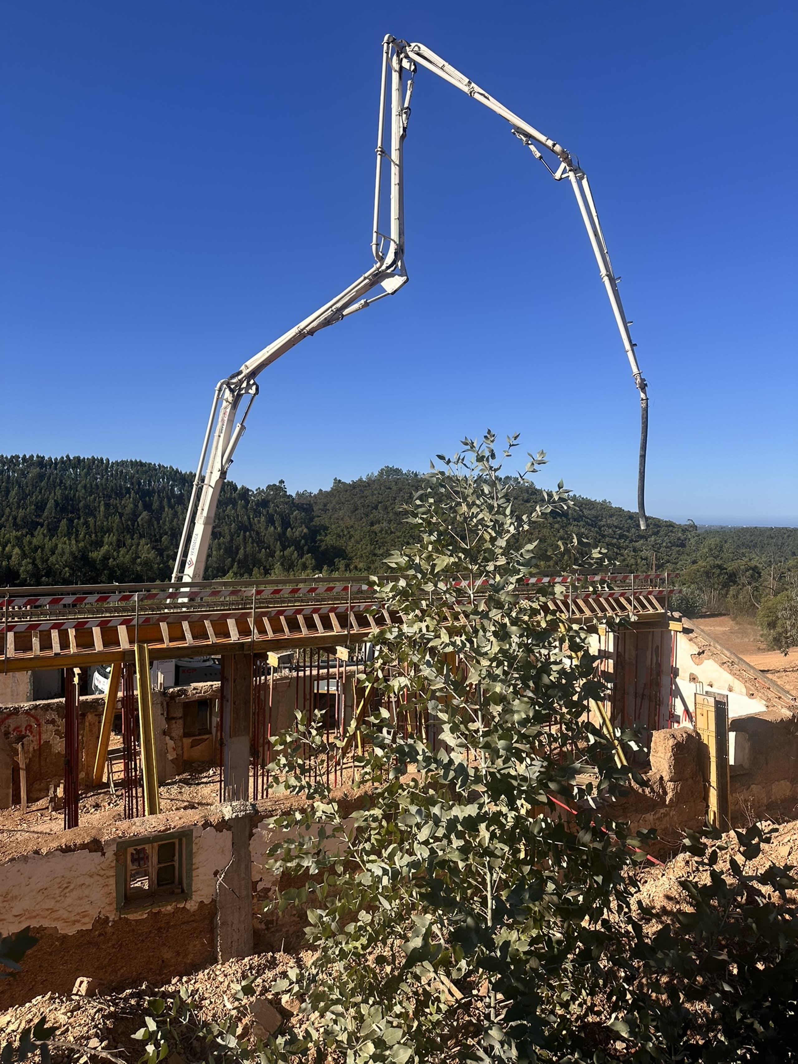 Carrascalinho — in progress photo 1